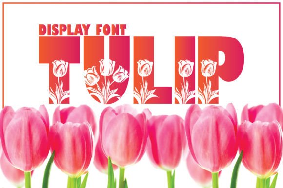 Tulip: A Playful, Bold Display Font for Handmade Creators